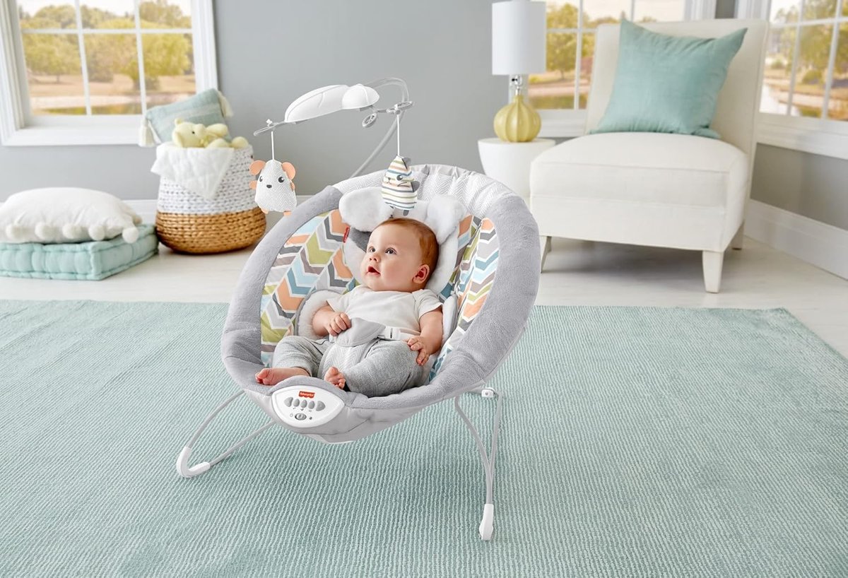 Baby relaxing in Fisher-Price Sweet Snugapuppy Dreams bouncer with plush toys and soft padding