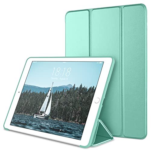 iPad Mini with kid-proof case